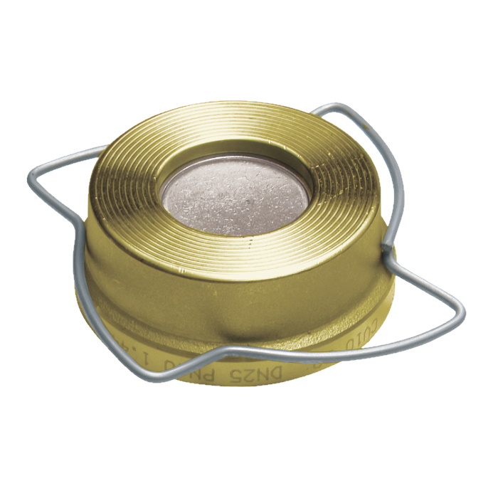 [F77100040.1016] Clapet de retenue - F77100040.1016