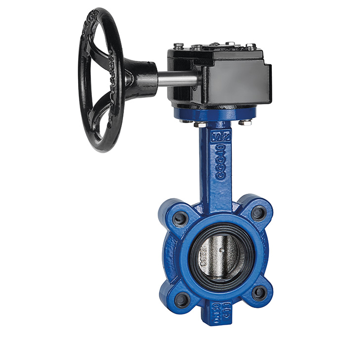 Vanne papillon - F4325G450.1009