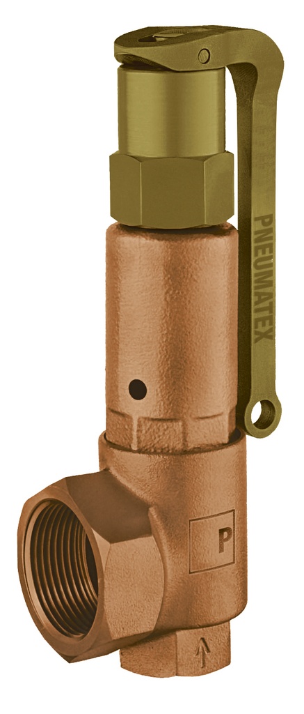 [536-2035] Soupape de sécurité DSV 20-3.5 DGH